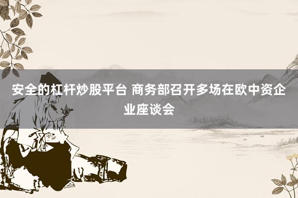 安全的杠杆炒股平台 商务部召开多场在欧中资企业座谈会