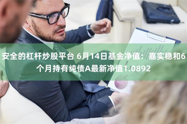 安全的杠杆炒股平台 6月14日基金净值：嘉实稳和6个月持有纯债A最新净值1.0892