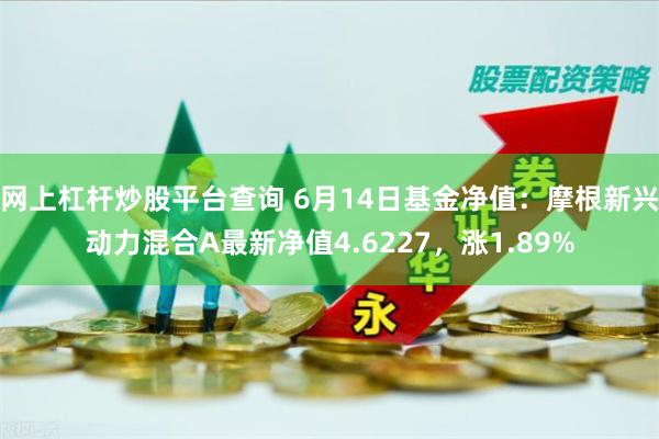 网上杠杆炒股平台查询 6月14日基金净值：摩根新兴动力混合A最新净值4.6227，涨1.89%