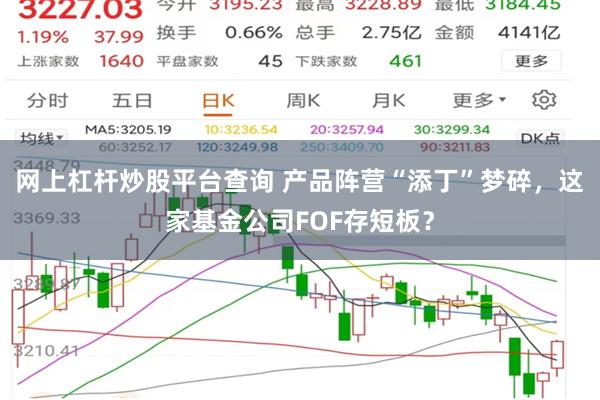 网上杠杆炒股平台查询 产品阵营“添丁”梦碎，这家基金公司FOF存短板？