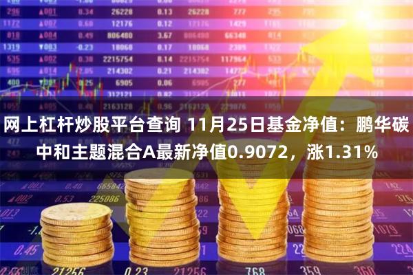 网上杠杆炒股平台查询 11月25日基金净值：鹏华碳中和主题混合A最新净值0.9072，涨1.31%